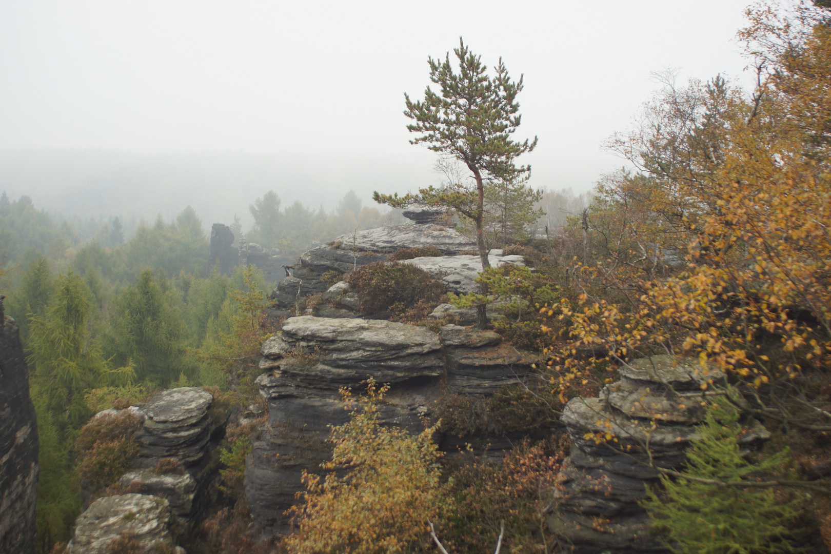 Herbst in der böhmischen Schweiz