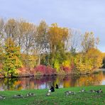 Herbst in der Bonner Rheinaue 1
