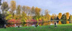 Herbst in der Bonner Rheinaue 1