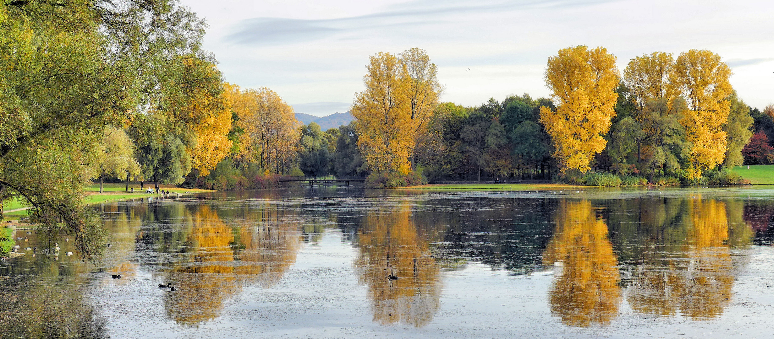 Herbst in der Bonner Rheinaue 2