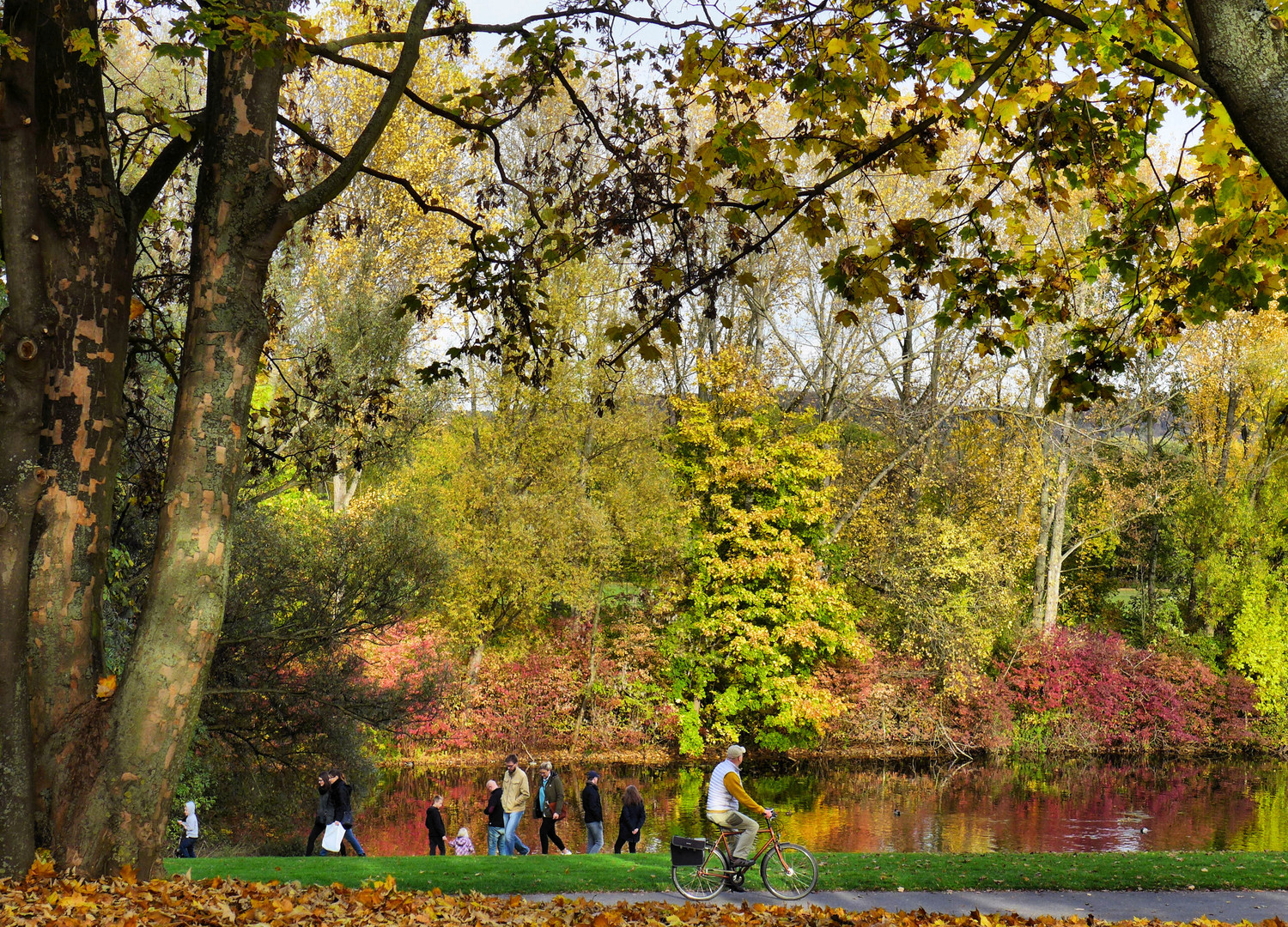 Herbst in der Bonner Rheinaue 3