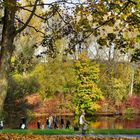 Herbst in der Bonner Rheinaue 3