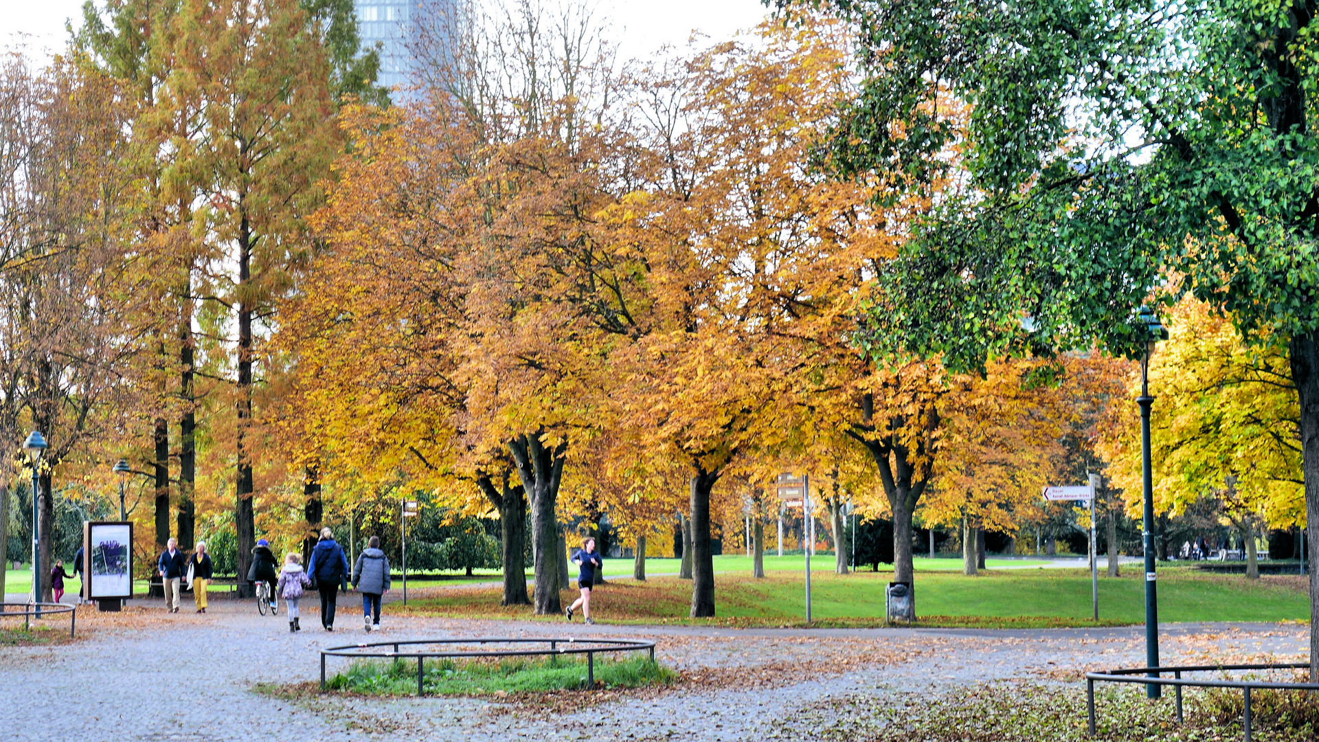 Herbst in der Bonner Rheinaue 6