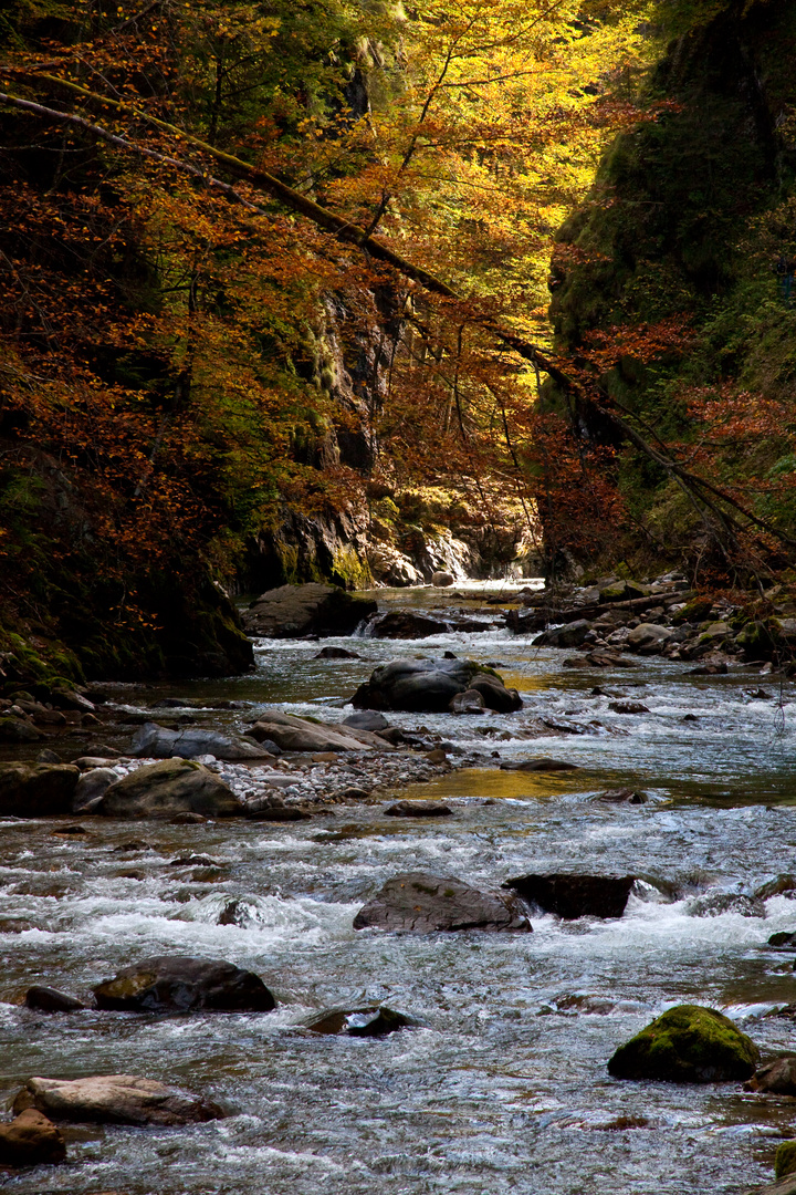 Herbst in der Breitachschlucht