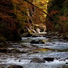 Herbst in der Breitachschlucht