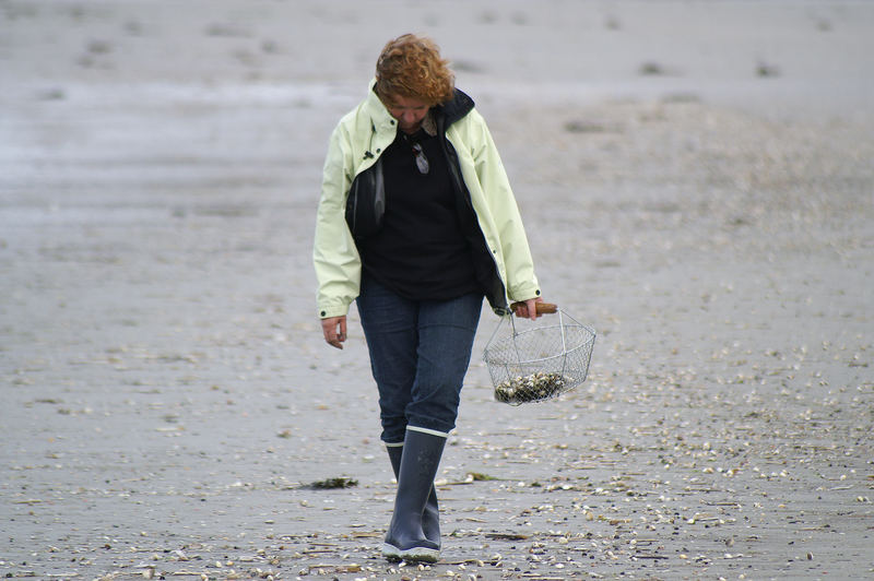 Herbst in der Bretagne