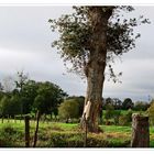 Herbst in der Bretagne