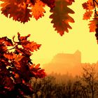 Herbst in der Buckligen Welt