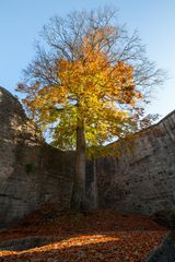 Herbst in der Burgruine