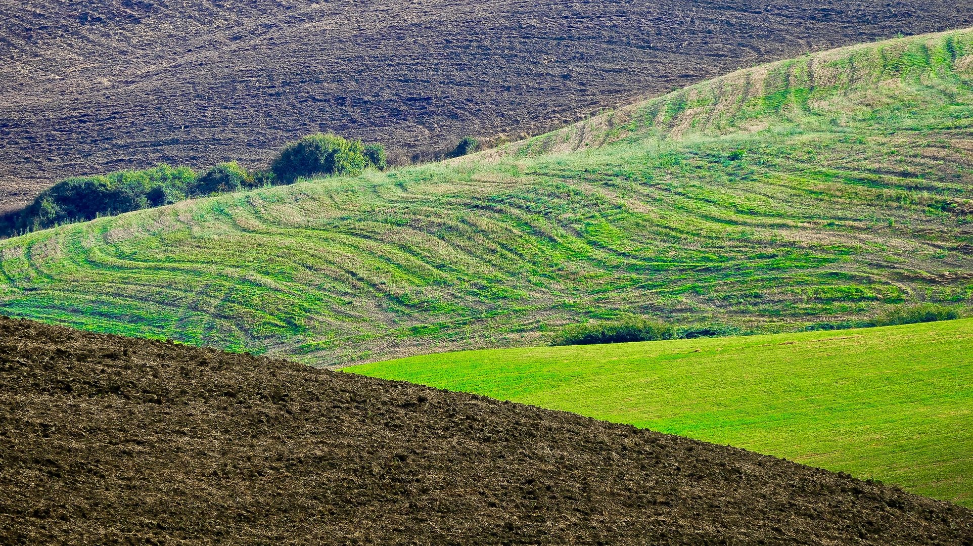 Herbst in der Crete Senesi