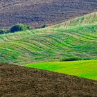 Herbst in der Crete Senesi