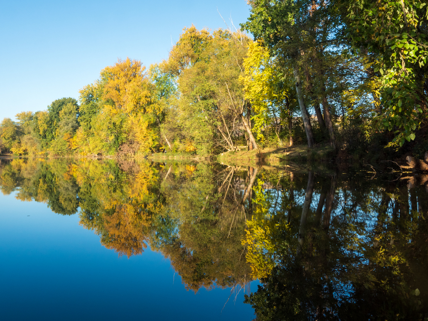 Herbst in der Donauau