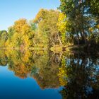 Herbst in der Donauau