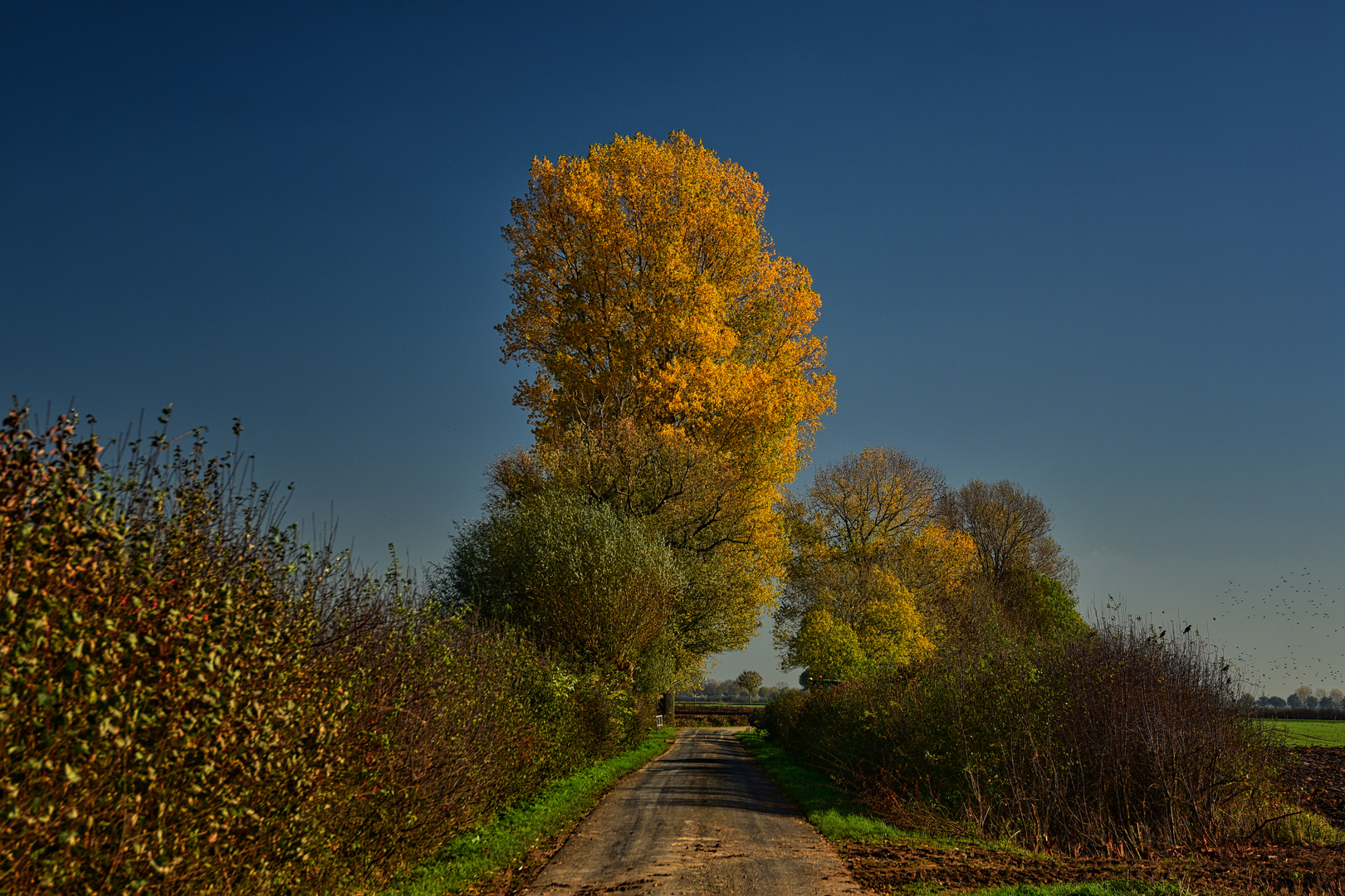 Herbst in der Düffel