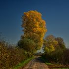 Herbst in der Düffel