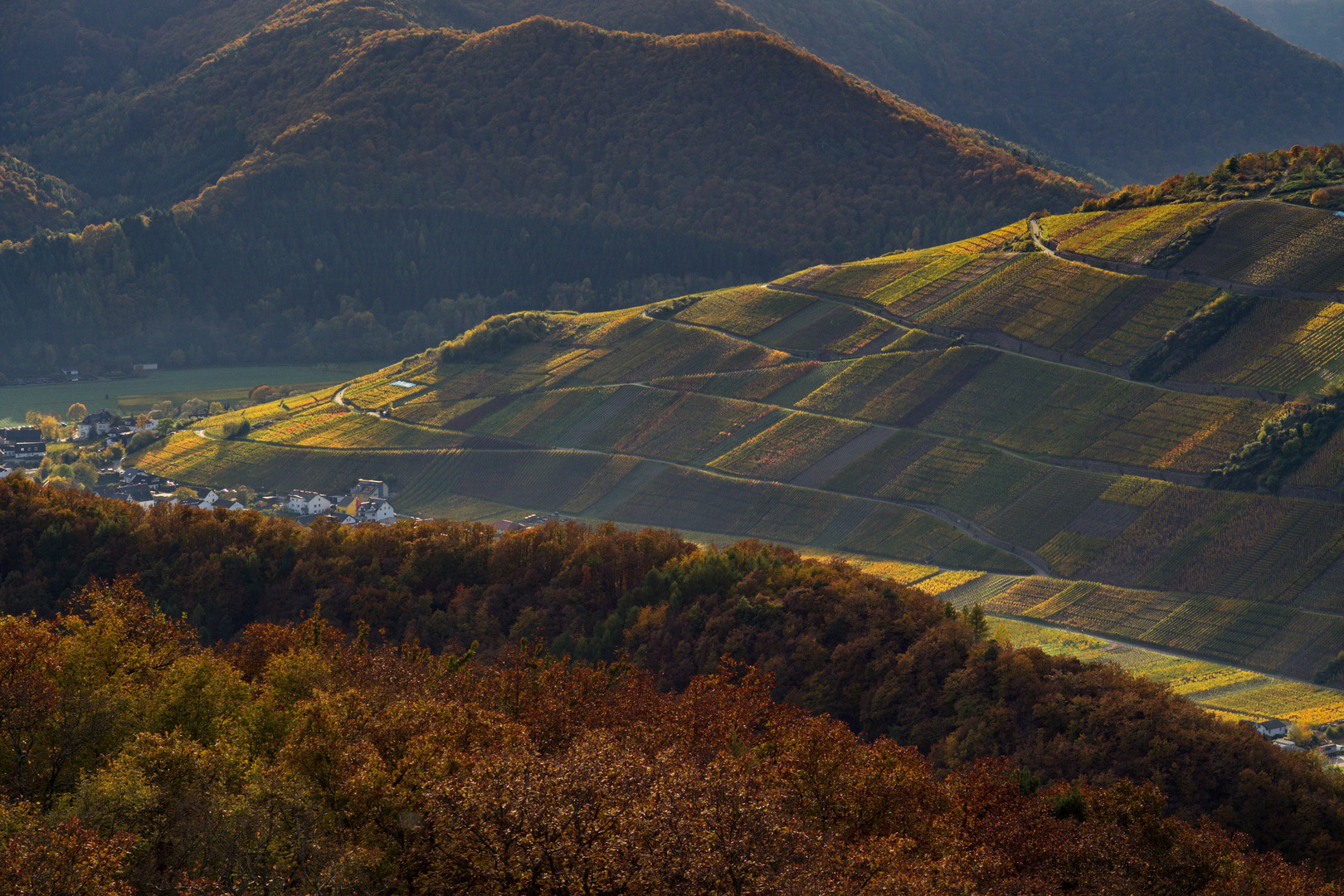 Herbst in der Eifel