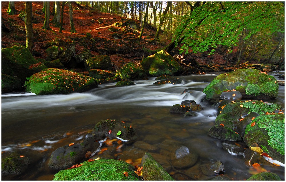 Herbst in der Eifel