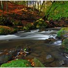 Herbst in der Eifel