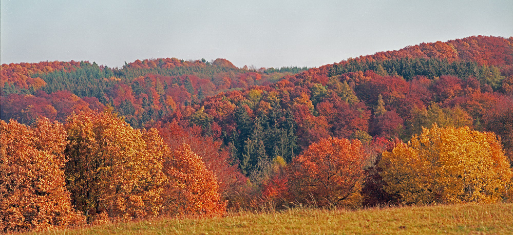 Herbst in der Eifel (2)