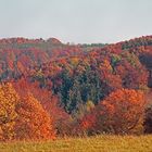 Herbst in der Eifel (2)