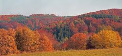 Herbst in der Eifel (2)