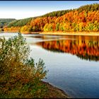 HERBST IN DER EIFEL.....