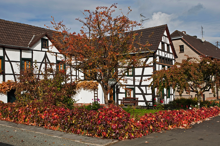 Herbst in der Eifel!