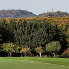 Herbst in der Eifel