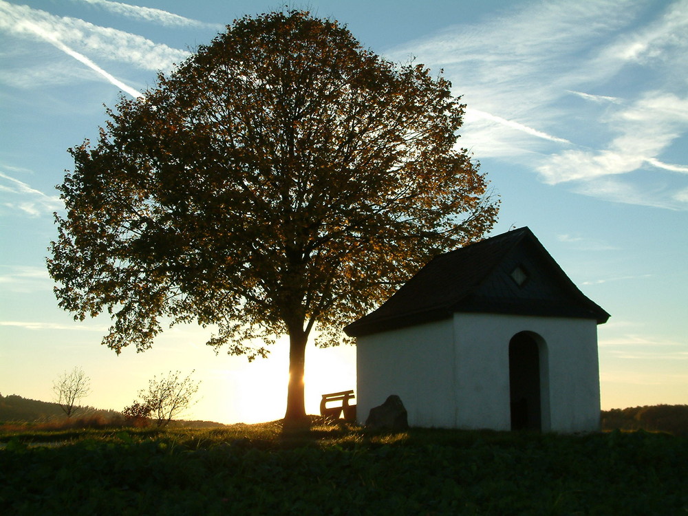 Herbst in der Eifel