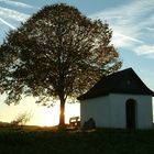 Herbst in der Eifel