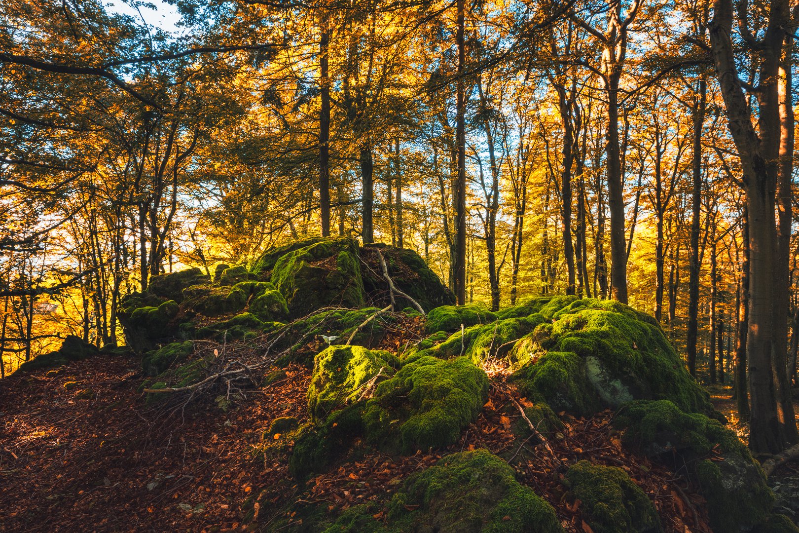 Herbst in der Eifel