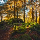 Herbst in der Eifel