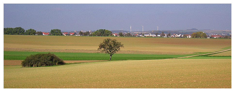 Herbst in der Eifel