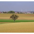 Herbst in der Eifel