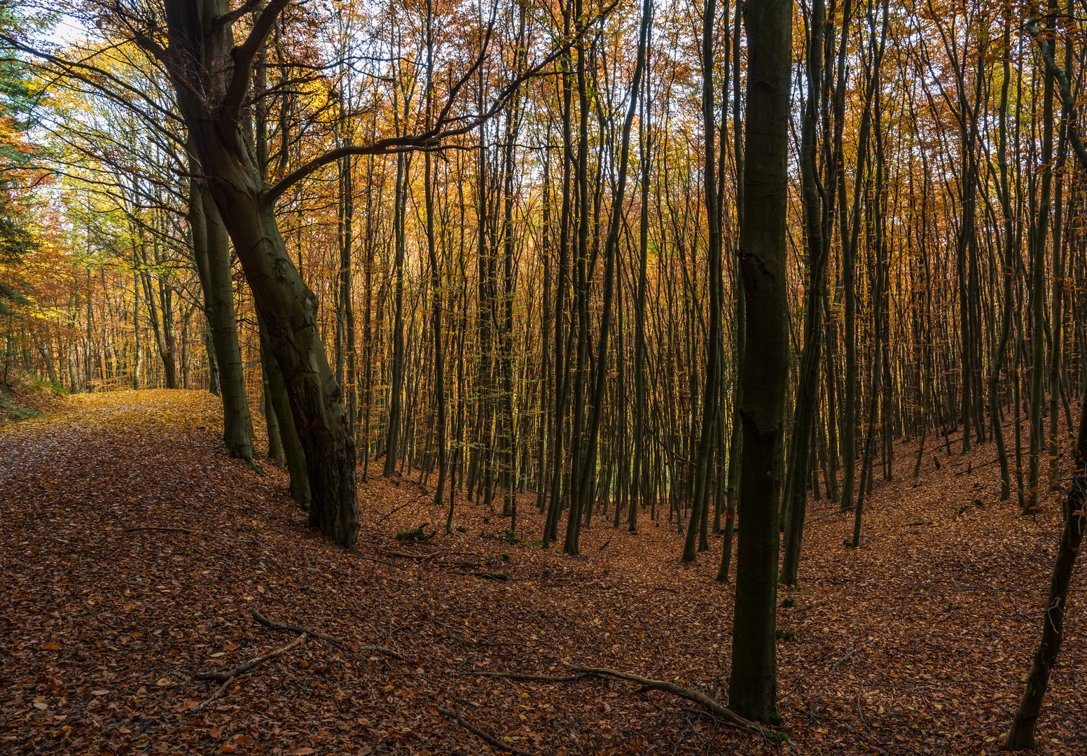 Herbst in der Eifel