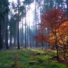 Herbst in der Eifel