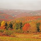 Herbst in der Eifel