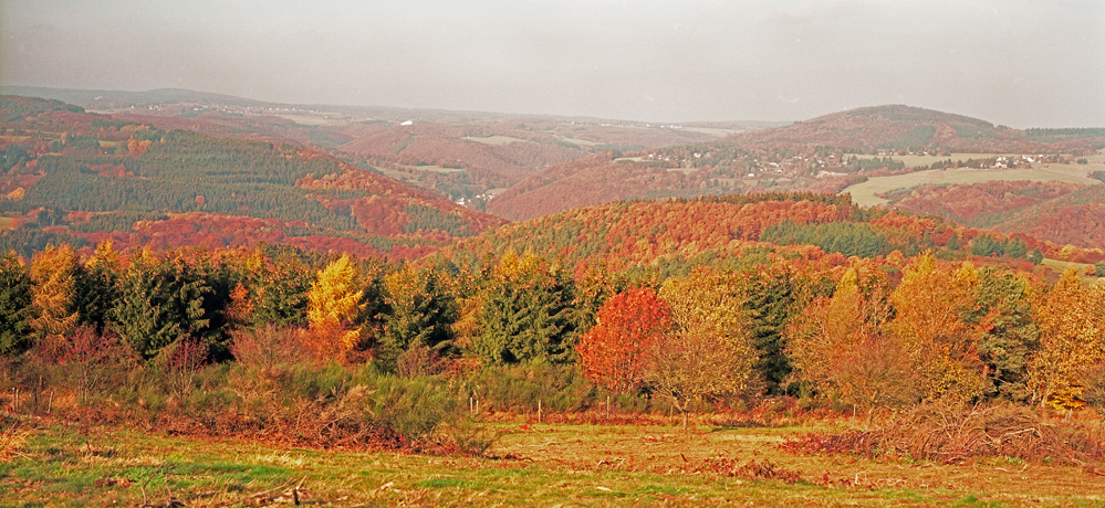 Herbst in der Eifel