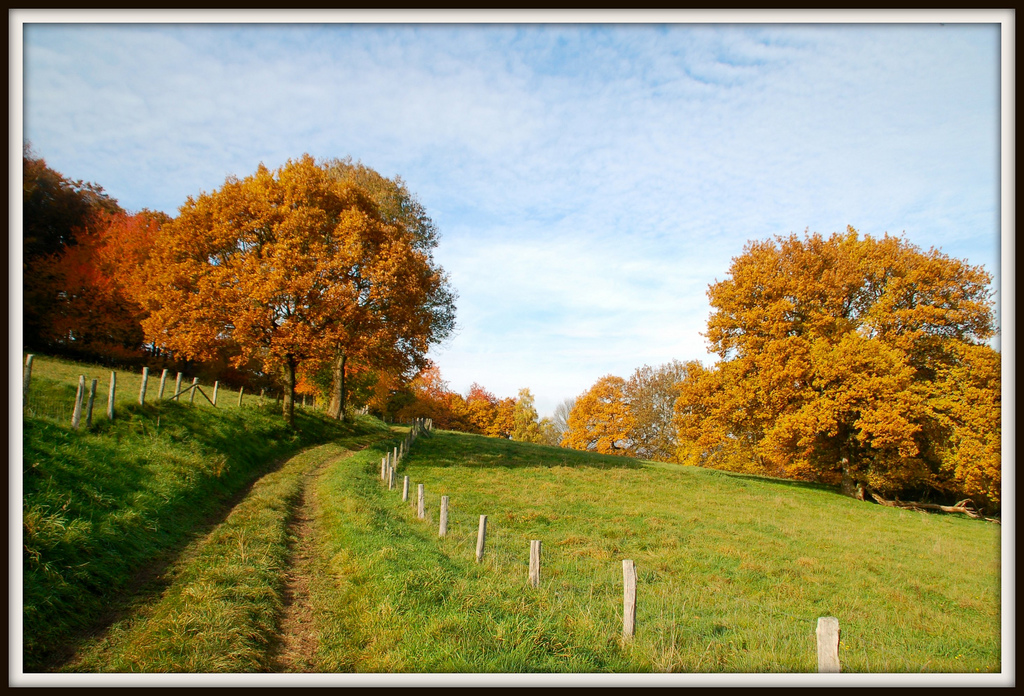 Herbst in der Eifel