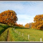 Herbst in der Eifel