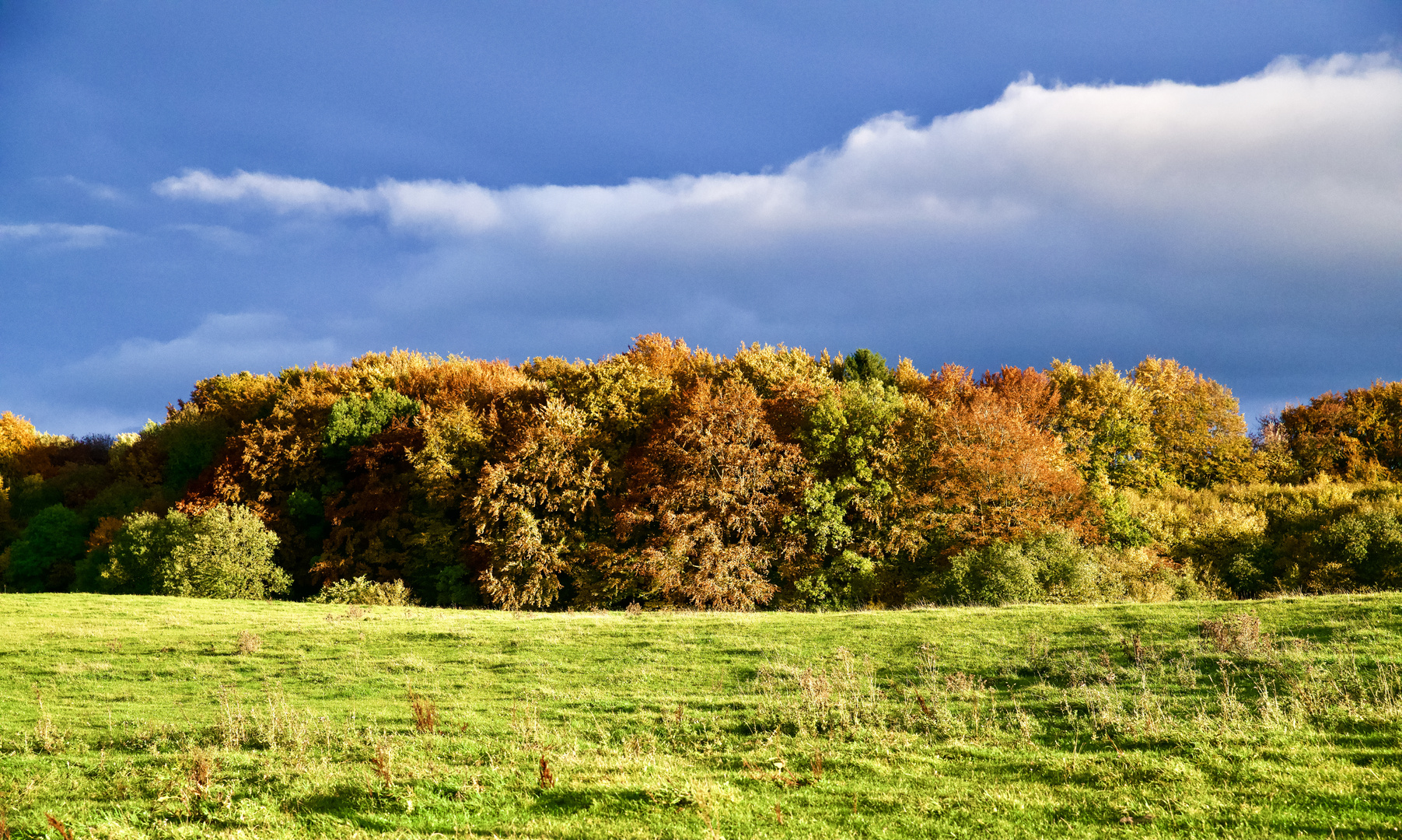 Herbst in der Eifel 