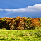 Herbst in der Eifel 