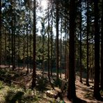 Herbst in der Eifel