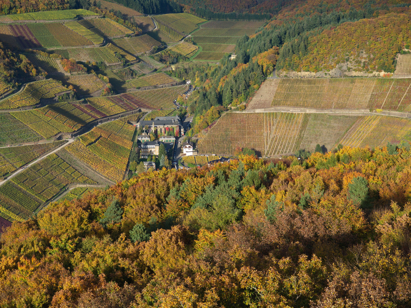 Herbst in der Eifel