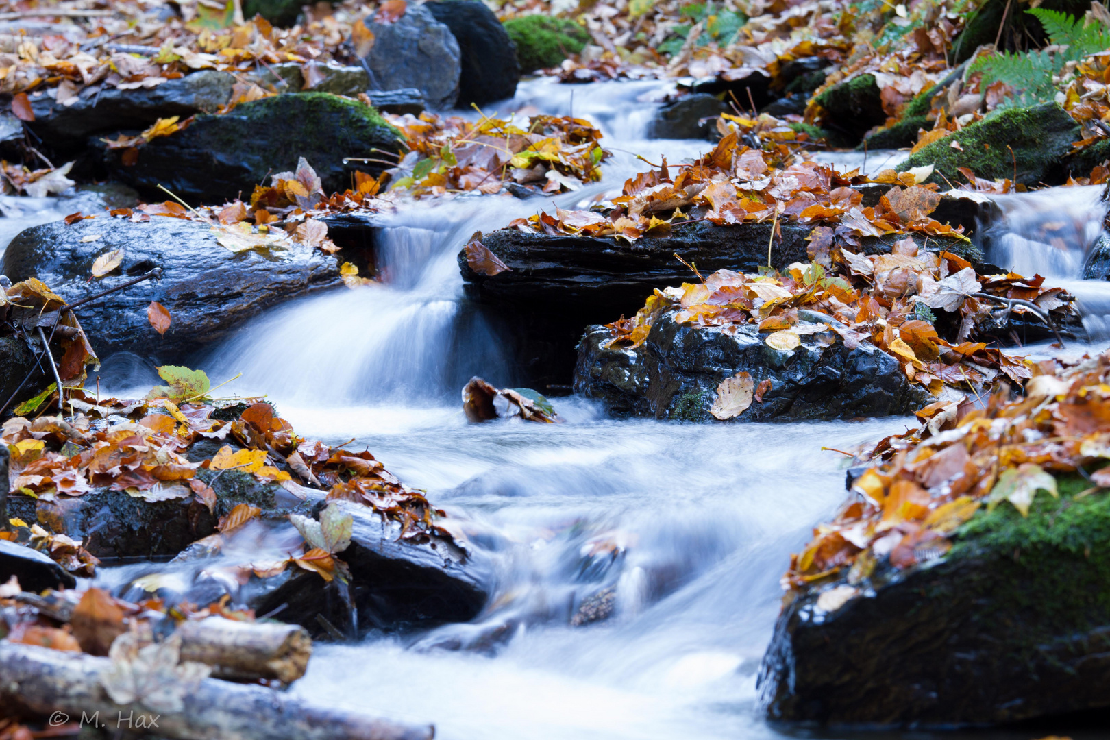 Herbst in der Eifel