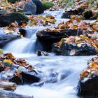 Herbst in der Eifel