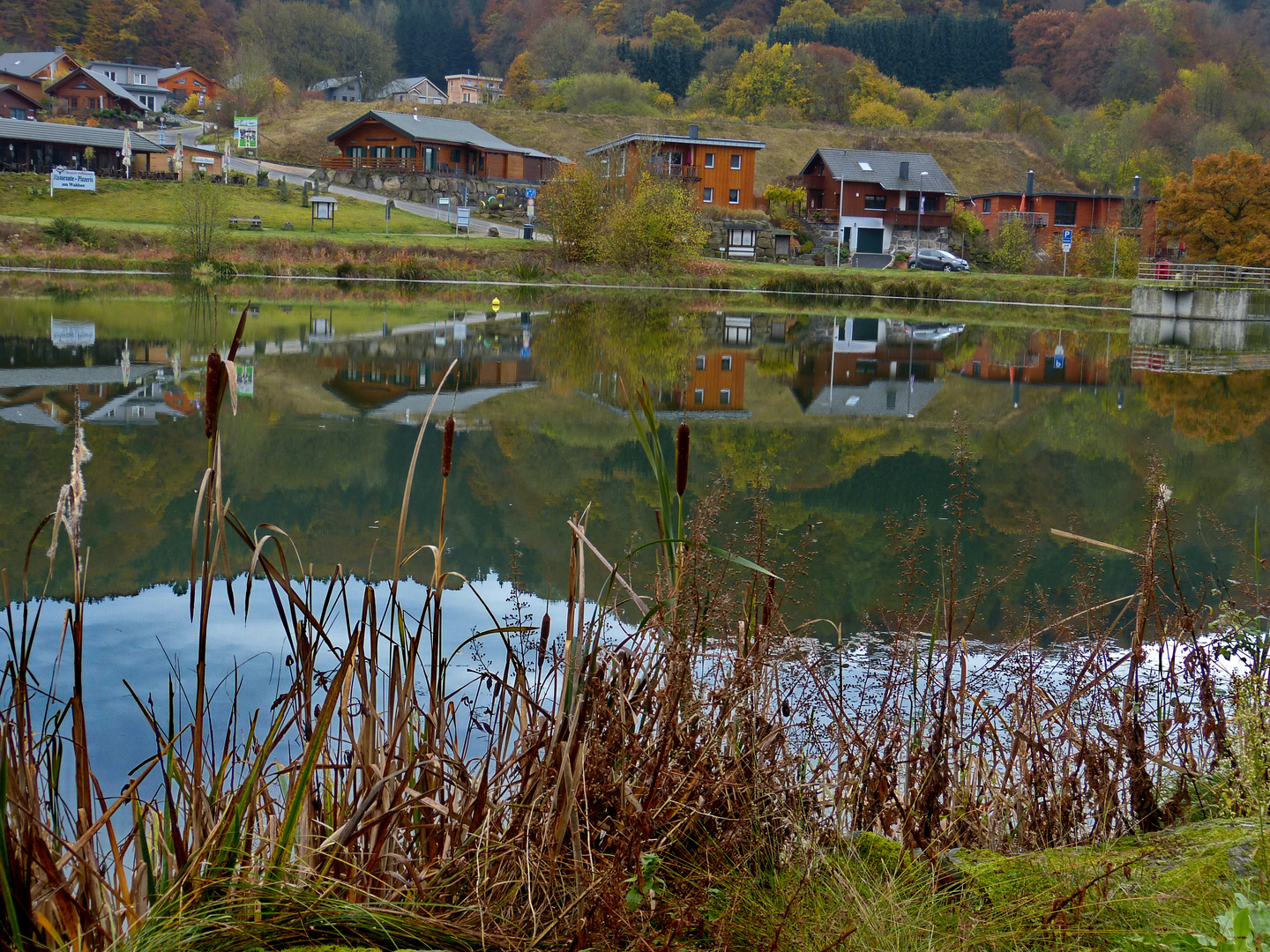 Herbst in der Eifel               Dienstag ist Spiegeltag