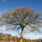 Herbst in der Eifel