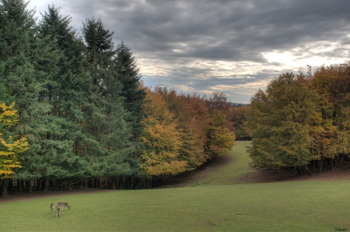 Herbst in der Eifel (HDR)