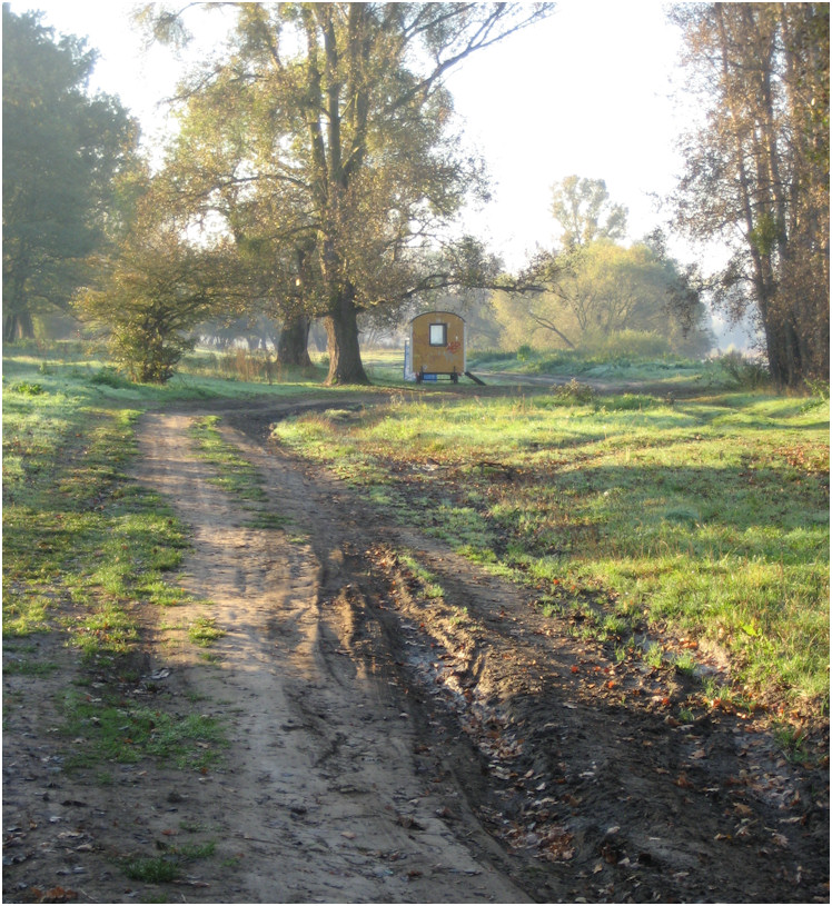 Herbst in der Elbaue